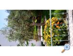 Apartmány Mriĉ apartments Croatia
