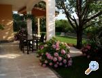 Apartm�ny Sara i Nino apartments Croatia