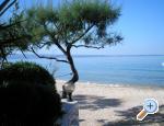 Apartments Antonia apartments Croatia