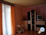 Apartmani Kikić Istra-Poreč apartments Croatia