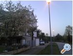Rose -ORIANA apartments Croatia