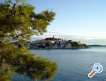 Apartments Aligator Croatia Hrvatska