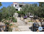 Apartments Maja apartments Croatia