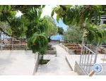 Apartments Maja apartments Croatia