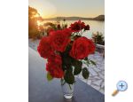 Apartmani �arin apartments Croatia