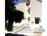 Apartments Svircic apartments Croatia