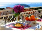 Apartmans IRIS*** apartments Croatia