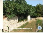 Anna Maria apartman apartments Croatia