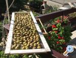 Anna Maria apartman apartments Croatia