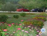 Apartmani Mare & Berto apartments Croatia