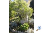 Apartmani Mare & Berto apartments Croatia