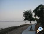 Apartmani Mare & Berto apartments Croatia