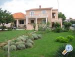 Apartmani Ive Croatia Hrvatska
