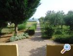Apartmani Tartaro apartments Croatia