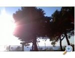 Apartments Šime apartments Croatia