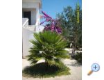 Apartments Šime apartments Croatia