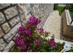 Apartmán Sandra apartments Croatia