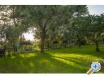 Apartman Petra apartments Croatia