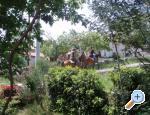 Vila Lori + bazen apartments Croatia