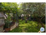 Villa Kascuni apartments Croatia