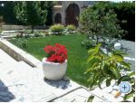 Apartments Ankica apartments Croatia