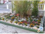 Apartmani Ancy apartments Croatia