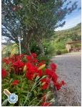 Apartmani Danijela apartments Croatia