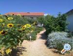 apartmani Marija Croatia Hrvatska