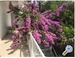 Apartmani �panjol apartments Croatia