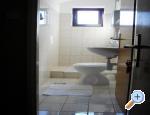 Apartmani Kampor apartments Croatia