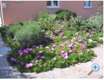 Apartment Marina exclusive apartments Croatia