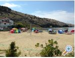 Apartments Pavlecic apartments Croatia