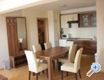 Vila Pogled Palit apartments Croatia