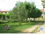 Villa Bibinka Ljuba� apartments Croatia