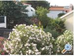 Apartman Brigita apartments Croatia