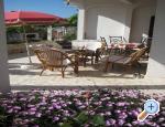 Apartmani Bačić apartments Croatia