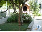 Apartmani Bakoviĉ apartments Croatia