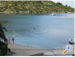 Apartmani Bandov apartments Croatia