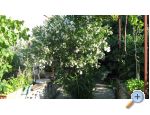 Apartmani Miki apartments Croatia