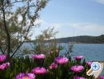 Apartm�ny Kanica apartments Croatia