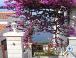 Apartm�ny Lucija apartments Croatia