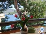 Milenka apartments apartments Croatia