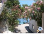 Milenka apartments apartments Croatia