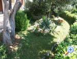 Santa Chiara Apartmani apartments Croatia