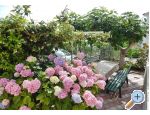 Villa Vuckovic apartments Croatia