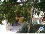Apartman Morena apartments Croatia