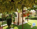 Apartmani Fantazija apartments Croatia