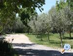 Apartmani Milena Juricic apartments Croatia