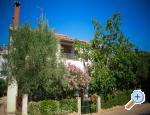 Apartment Corrado Croatia Hrvatska
