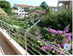 Apartments Kamelia apartments Croatia